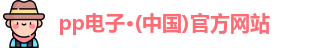 pp电子
